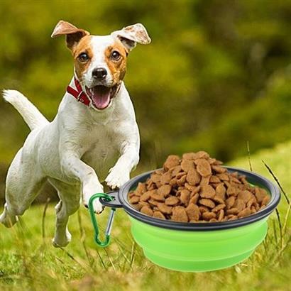 Petinka Kedi Köpek Mama Su Kabı Katlanabilir Taşınabilir Evcil Hayvan Pratik Kırmızı Mama Su Kabı Petinka Kedi Köpek Mama Su Kabı Katlanabilir Taşınabilir Evcil Hayvan Pratik Kırmızı Mama Su Kabı