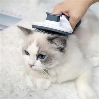 Petinka Kedi Köpek Gri Tüy Toplayıcı Kendini Temizleyebilen Ergonomik Evcil Hayvan Tarağı Petinka Kedi Köpek Gri Tüy Toplayıcı Kendini Temizleyebilen Ergonomik Evcil Hayvan Tarağı