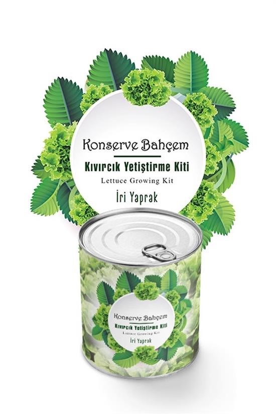 BUFFER® Konserve Bahçem Evde Konservede İri Yapraklı Kıvırcık Yetiştirme Kiti BUFFER® Konserve Bahçem Evde Konservede İri Yapraklı Kıvırcık Yetiştirme Kiti