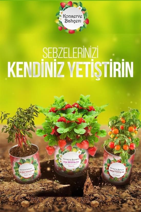 BUFFER® Konserve Bahçem Nane Yetiştirme Kiti BUFFER® Konserve Bahçem Nane Yetiştirme Kiti