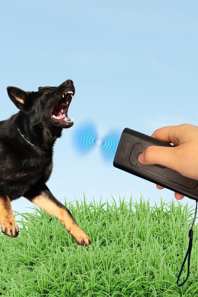 Köpek Uzaklaştırıcı Taşınabilir Uzun Menzilli Ultrasonik Çift İşlevli Köpek Kaçırıcı Eğitici Cihaz Köpek Uzaklaştırıcı Taşınabilir Uzun Menzilli Ultrasonik Çift İşlevli Köpek Kaçırıcı Eğitici Cihaz