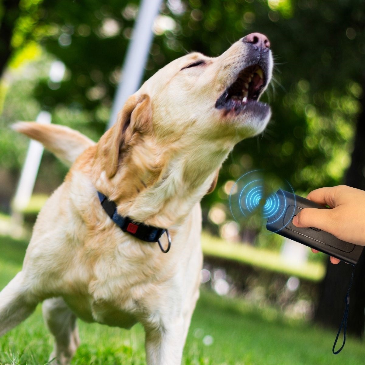 Ultrasonik Köpek Kovucu ve Eğitici Cihaz (4707) Ultrasonik Köpek Kovucu ve Eğitici Cihaz (4707)