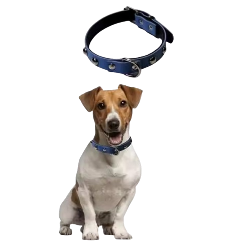 Petinka Yumuşak Dokulu Deri Köpek Gezdirme Large Boyun Tasması Petinka Yumuşak Dokulu Deri Köpek Gezdirme Large Boyun Tasması